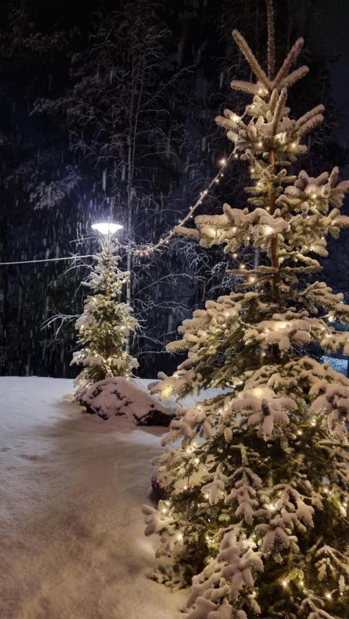 Asikkalan Motelli Vesivehmaa Exteriör bild