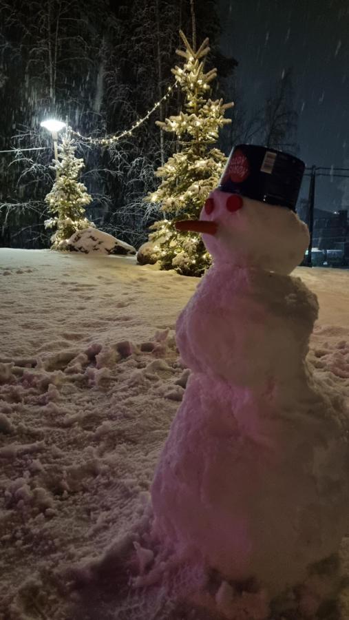 Asikkalan Motelli Vesivehmaa Exteriör bild